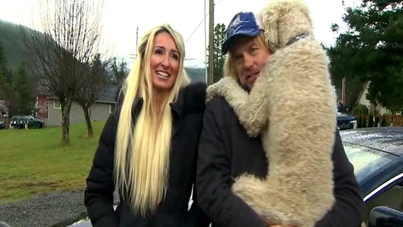 Beloved poodle reunited with owners after being taken by car thief