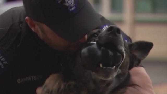New Texas law allows law enforcement animals to retire with their handlers