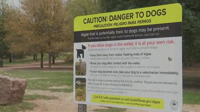 Red Bud Isle reopens to public, no visible signs of harmful algae