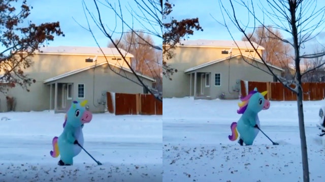 Magical work: Woman dons unicorn costume to shovel snow