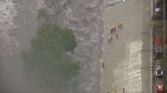 Man rescued after spotted clinging to tree in LA River