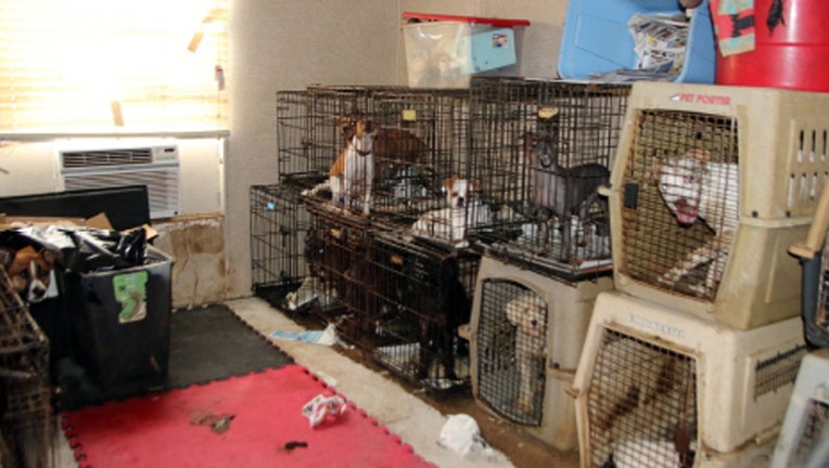 1121animalseized.jpg