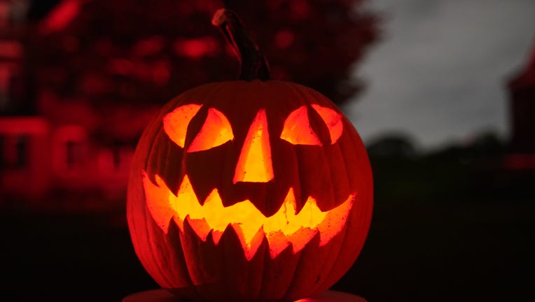 NEW YORK, UNITED STATES - OCTOBER 17: A view of 'Rise of the Jack O'Lanterns' spectacle which features more than 5,000 hand-carved, illuminated pumpkins created by professional artists during Halloween season in Governers Island of New York City, United States on October 17, 2019. (Photo by Vural Elibol/Anadolu Agency via Getty Images)