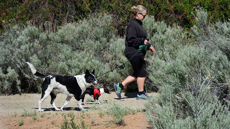 DogHeartAttackRiskStudyCClinic__Banner__Getty.jpg