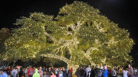 City of Cedar Park to host free tree lighting, Santa's Workshop event