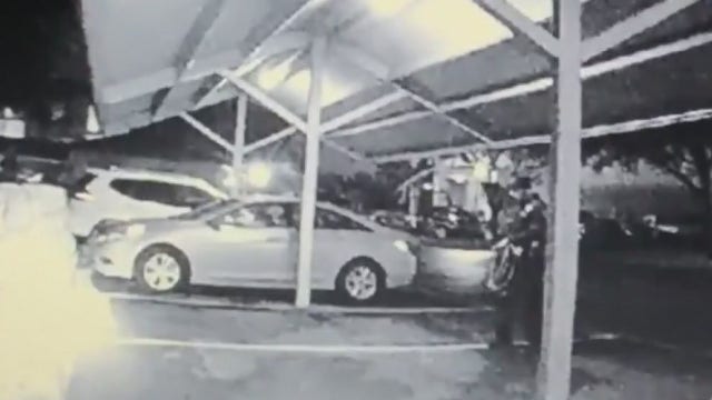 VIDEO: Willliamson County Sheriff's deputy lassos feral hog out of apartment complex