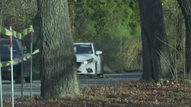 Growing concern over fate of more than 100 trees in Williamson County
