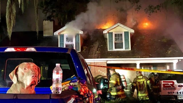 Sammy the dog barks alarm, saving Georgia family from fire inside home