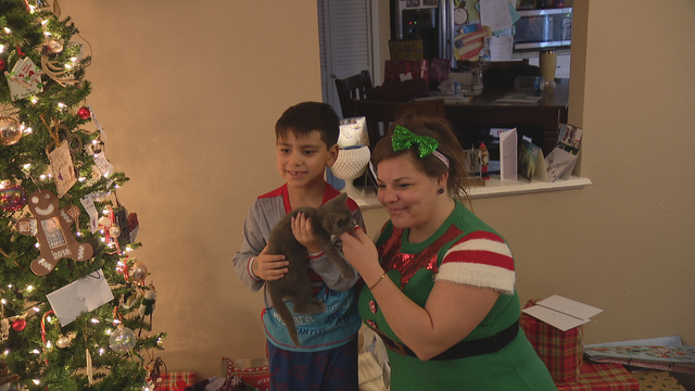 'Pawler Express' surprises Grand Prairie family with a cat for Christmas