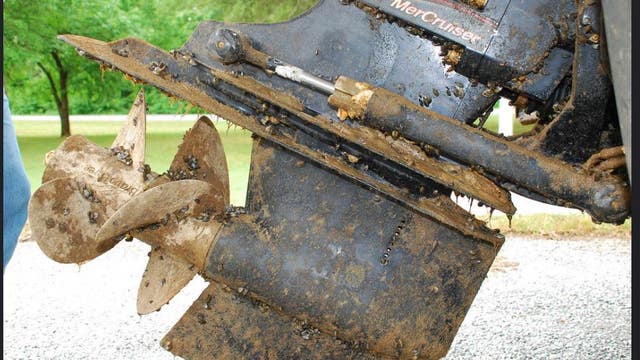 TPWD reminds boaters to "clean, drain and dry" over holiday weekend