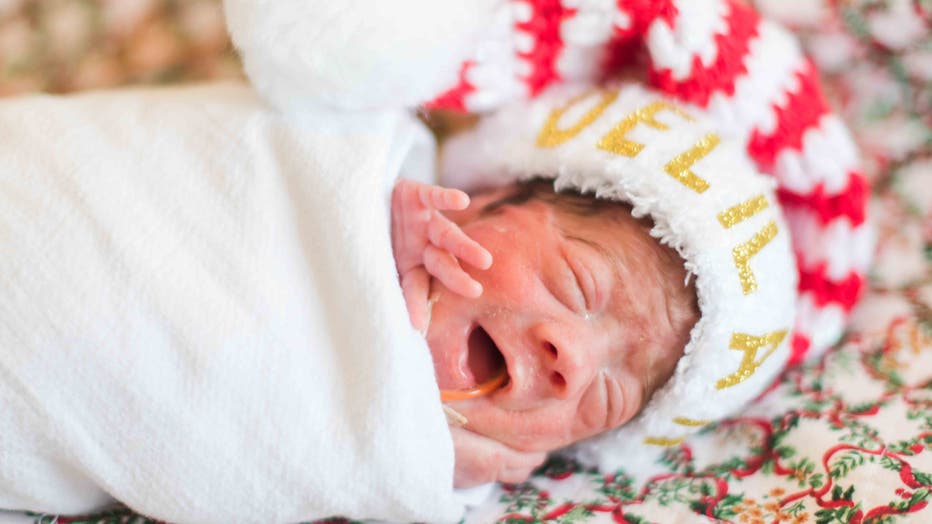 Baby-Delilah.jpg