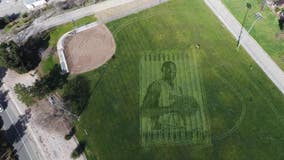 Artist creates 115-foot portrait of Kobe Bryant in grass on softball field