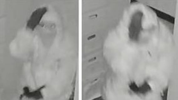 Round Rock police investigating Christmas burglaries of Round Rock cash advance stores, Burger King