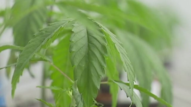 Council members push to end low-level marijuana citations and arrests with resolution