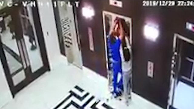 Tampa doctor saves dog from being strangled by elevator