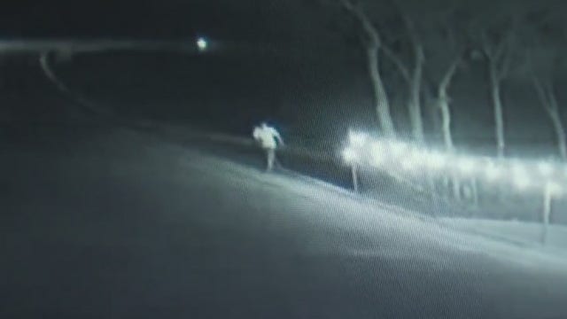 South Austin Beer Garden co-owner speaks out about catching fatal auto-ped suspect