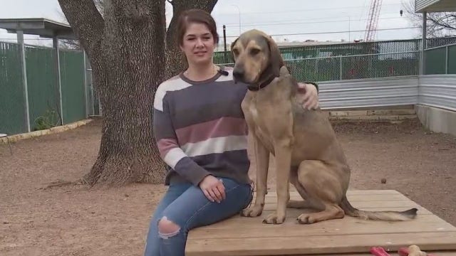 Large, medium dogs having difficult time finding "furever" homes in Austin