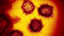 Hays County Government Center not evacuated over coronavirus despite rumors
