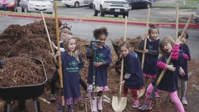 Austin Parks Foundation hosting It's My Park Day