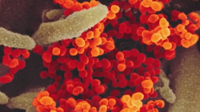 Williamson County businesses, government work together in effort to prevent spread of COVID-19