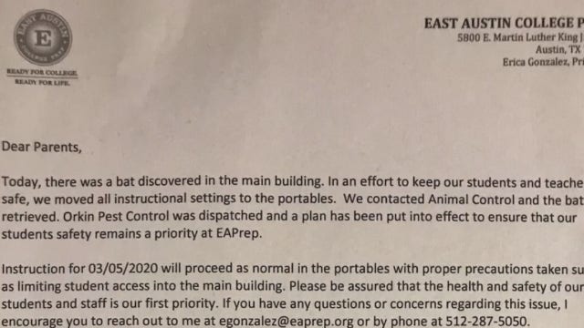 Students, staff say bats are still inside school, cafeteria at East Austin College Prep