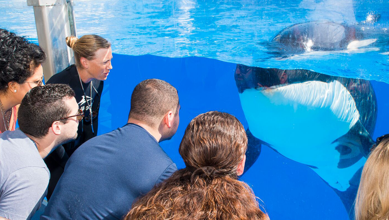 seaworld orlando web_1516032346740.png.jpg