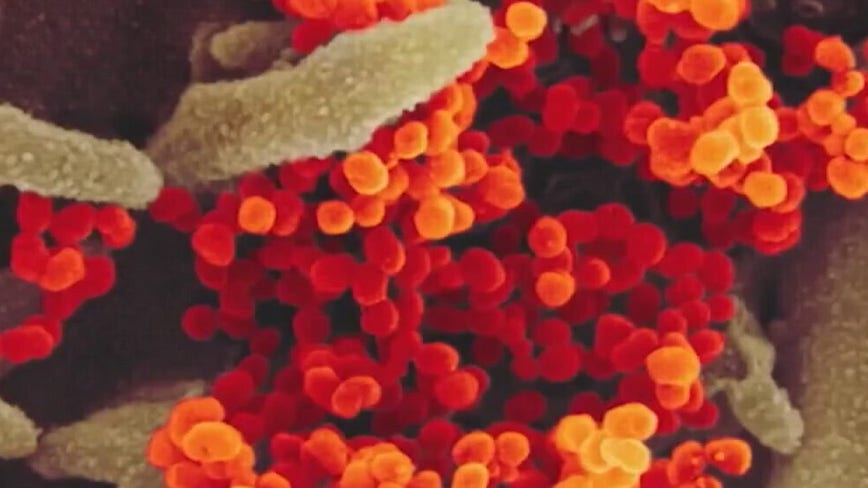 More presumptive positive coronavirus cases in Austin-Travis County