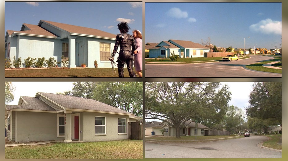 P-EDWARD SCISSORHANDS ANNIVERSARY