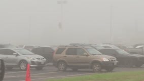 Central Texas Food Bank distributing food at Del Valle HS for those in need