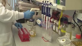 FOX 7 Discussion: COVID-19 vaccine research