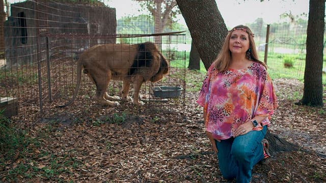 'Tiger King': Carole, Howard Baskin say they feel 'betrayal' from filmmakers, are getting death threats