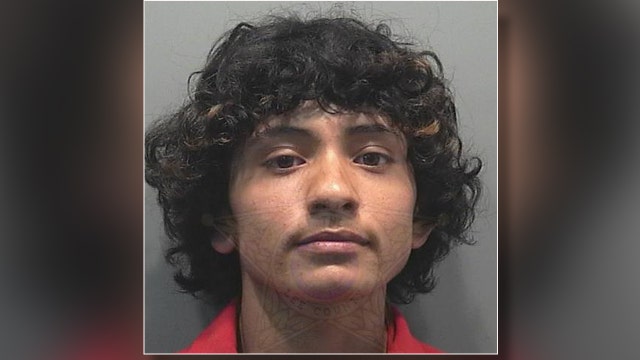 Florida man accused of brutalizing, baking dog