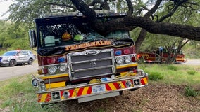 Pedernales fire engine driver loses consciousness during parade, crashes into tree