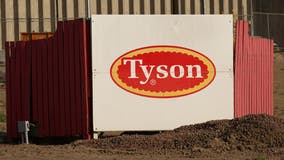 555 coronavirus cases at Iowa Tyson pork plant