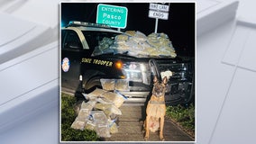 K-9 'Titan' helps troopers find 25 pounds of marijuana stuffed in car