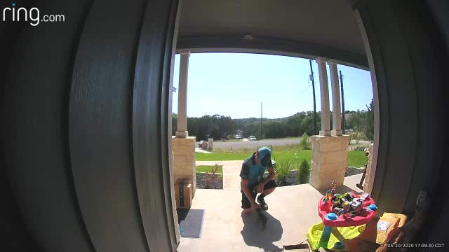 Ring video captures sweet moment between Amazon delivery person and kitten