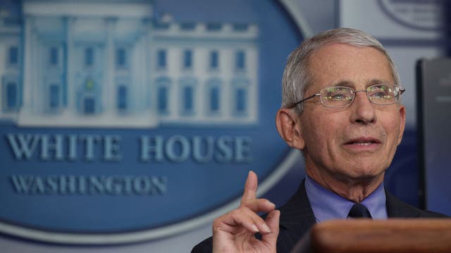 Fauci warns of 'suffering and death' if US reopens too soon
