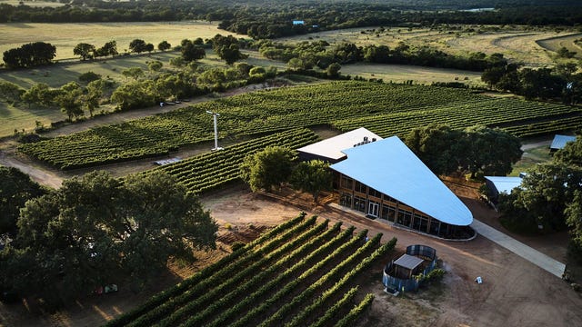 William Chris Vineyards talks about experience during pandemic, plans moving forward