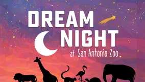 San Antonio Zoo provides new, virtual version of Dream Night for pediatric patients