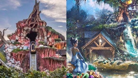 'Splash Mountain' ride at Walt Disney World, Disneyland to be re-themed