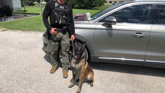 Fayette County K-9 seizes 3.5 kilos of cocaine during traffic stop