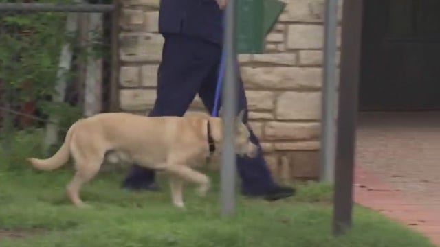 Austin Animal Center's policy limiting intake of strays could be here to stay
