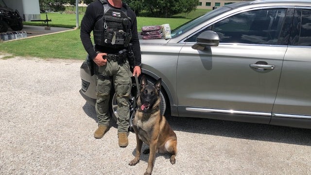 Fayette County K-9 seizes 3.5 kilos of cocaine during traffic stop