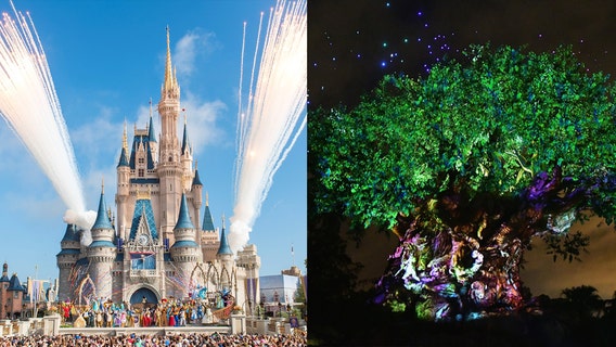 Disney World reopens Saturday: Safety measures, attractions, and everything you need to know before you go
