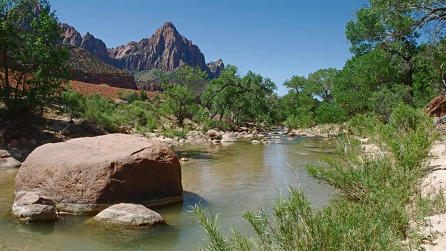 Dog dies from algae bloom exposure just 1 hour after swimming in Utah river, National Parks Service says