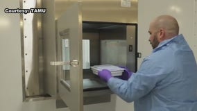 Lab at Texas A&M gets prepped for COVID-19 vaccine production