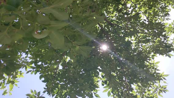 How to use sunlight to paint a picture