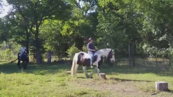 FOX 7 Care Force: Healing with Horses in Manor helps veterans struggling with PTSD