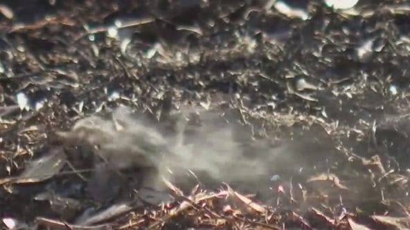 Dry weather increasing fire danger across Central Texas