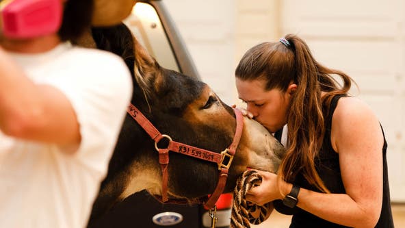 Rancher gets emotional after losing horses and baby goats in California wildfire